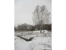 ���� � ������������ ��������