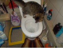 dscn7334.JPG