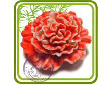 ������� -500+%.jpg