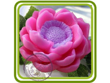 �������� 500+%.jpg