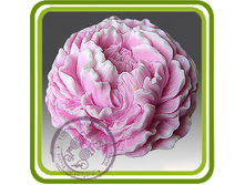 ���� ������� 425+%.jpg