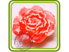 ���� ����� 425+%.jpg