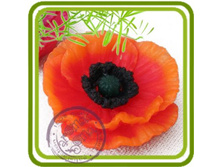 ���������� ��� 425+%.jpg