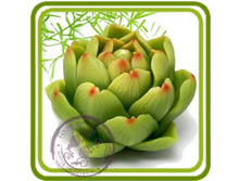 ������� 500+%.jpg