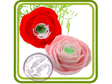 ���������� �������.jpg