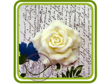 ���� ����������� 500+%.jpg