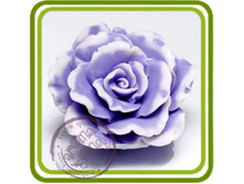 ���� ���������� 500+%.jpg