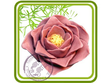 ������ ������ 425+%.jpg