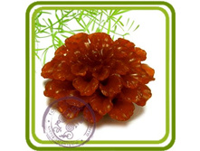 ������ 500+%.jpg