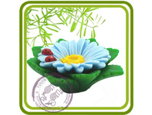 ����� � ���. ��������� 500+%.jpg