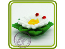 ����� � ������� ��������� 425+%.jpg