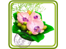 ����� ������� 285+%.jpg