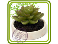 ������ 425+%.jpg