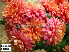 9141825.Barhan.jpg