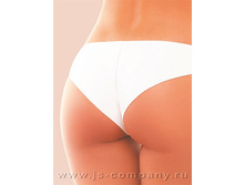 019_camelia_brief- 300 ���.