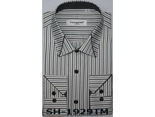 ��������������� SH-1929 TM.jpg