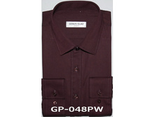 ������ GP-048PW.jpg