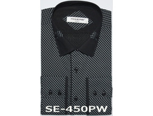 ������ SE-450PW.jpg