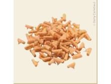 ������� �� ������������ ��������