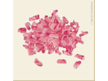 ������� �� ����������� ��������