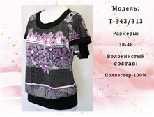 �������: �-343/313 