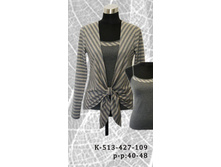 �������: �-513/427/109 