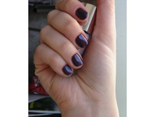 Shellac Rock Royalty.jpg