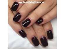 shellac-dark-dahlia.jpg