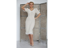 ������ �����