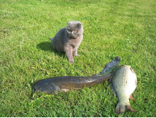 �ݣ ������?