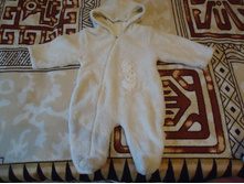 ���������� ����̣����