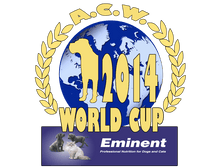 world-cup-2014.png