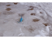 DSCF5984_����� ������.JPG