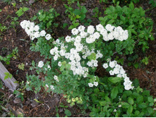 �ң����������*