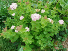 ��������������*