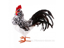 4606500308682, ����� ������������ (���. ���, ����), 30�34��, �����, 347 ���..jpg