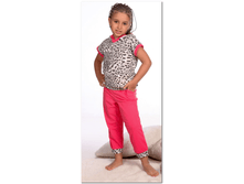 big_cat_a53f6c7b8a024362a0036a03af53d61c.png