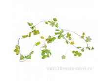 4606500229888, �������� ����� (�����), 100��, 74 ���..jpg