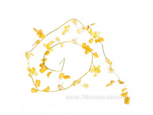 4606500229895, �������� ����� (�����), 100��, 54,74 ���..jpg