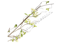 4606500230877, ��������  �����, 120��, 110,40 ���..jpg