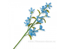 4606500312191, ����� ������������ (�����), 65��, �������, 113 ���..jpg