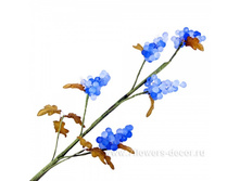 4606500312207, ����� ������������ (�����), 65��, �������, 113 ���..jpg