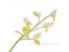 4606500312221, ����� ������������ (�����), 65��, ������-�������, 113 ���..jpg