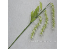 4606500312740, ����� ������������ (�����), 65��, ������-�������, 113 ���..jpg