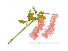 4606500312771, ����� ������������ (�����), 65��, �������, 113 ���..jpg