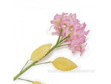 4606500312788, ����� ������������ (�����), 65��, �������, 113���..jpg