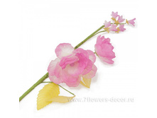 4606500312795, ����� ������������ (�����), 65��, �������, 113,56 ���..jpg