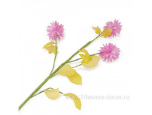 4606500312801, ����� ������������ (�����), 65��, �������, 113 ���..jpg