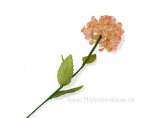 4606500312887, ����� ������������, 66�� (�����), ����������, 100,98 ���..jpg