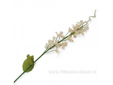 4606500312894, ����� ������������, 74�� (�����), ����������, 93 ���..jpg